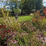 Le Nichoir De La Biesme Couette-café 3*