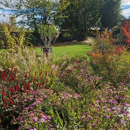 Le Nichoir De La Biesme Bed & Breakfast 3*