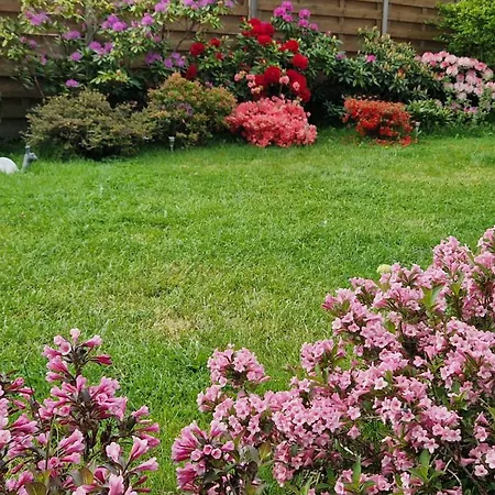 Le Nichoir De La Biesme Bed & Breakfast 3*